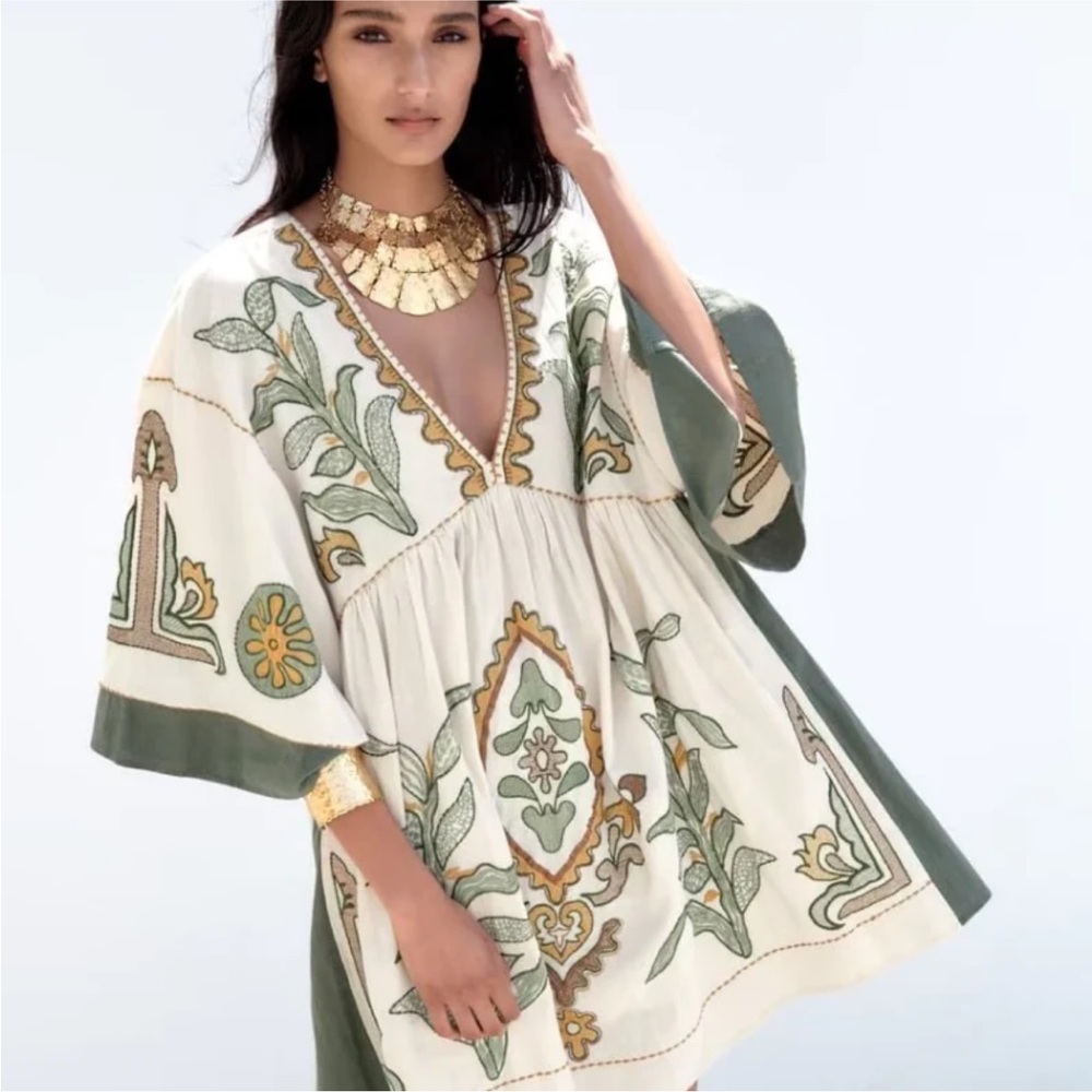 Zara Embroiled Dress